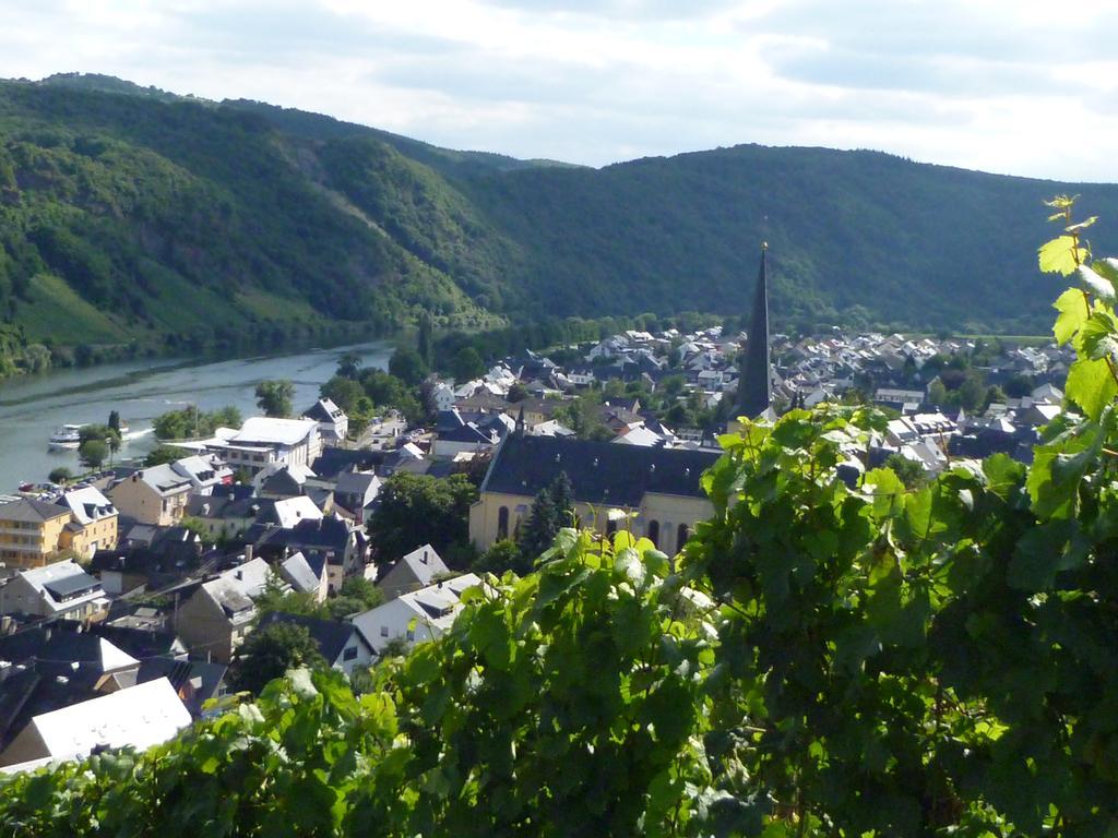 Der Weinladen Apartman Kröv Kültér fotó