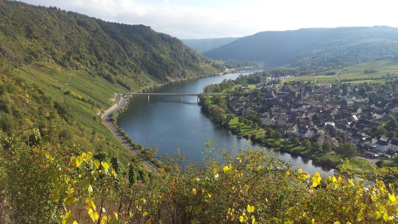 Der Weinladen Apartman Kröv Kültér fotó